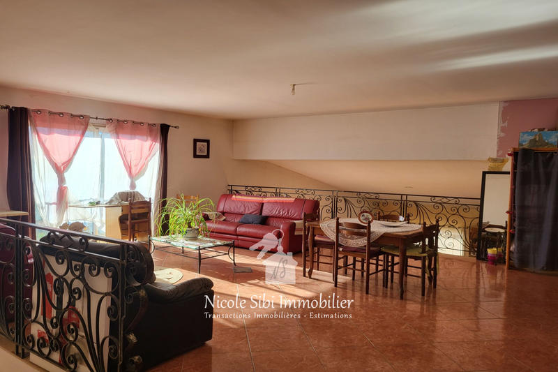 Mas - 290 m² - 7 pièces