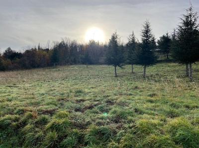 Terrain - 7 661 m²