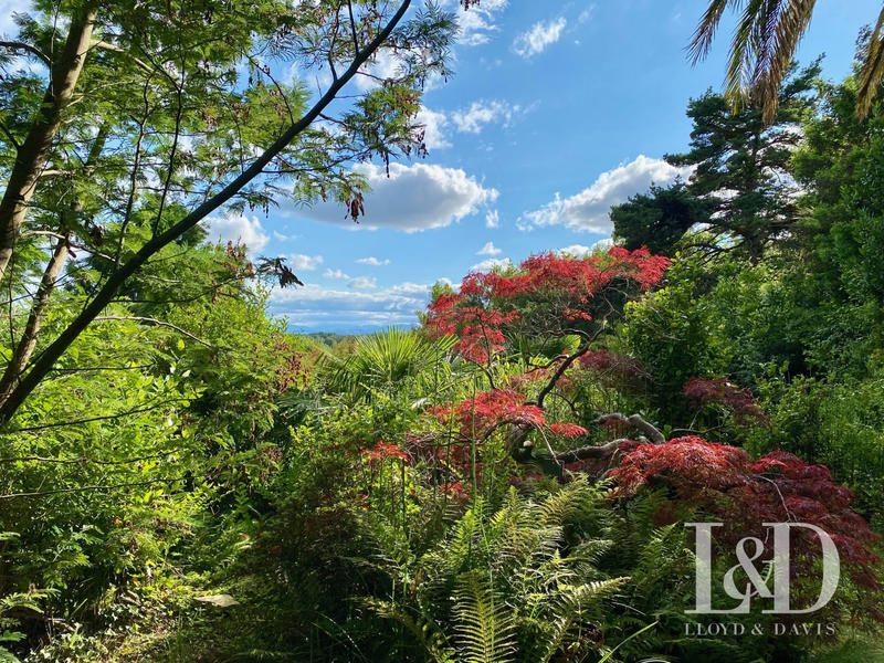 Maison ancienne - 500 m² - 21 pièces