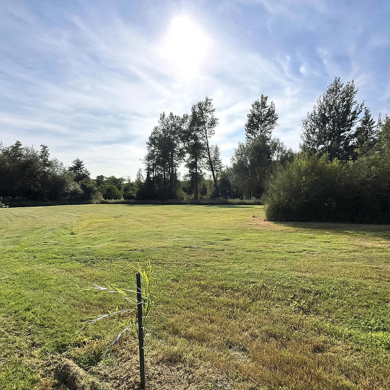 Terrain de loisirs - 3 601 m²