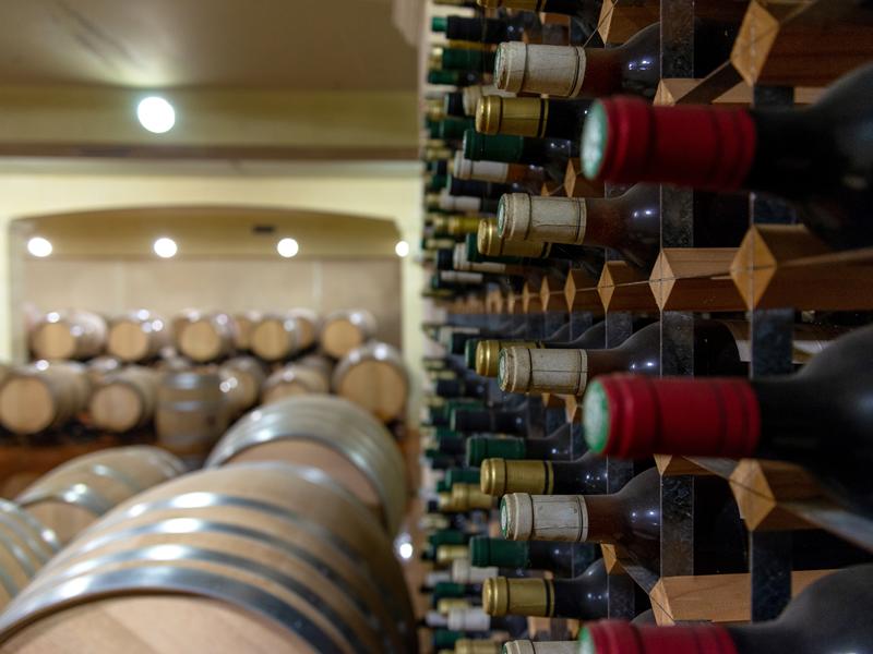 Tour du domaine et dégustation au Domaine du Grand Mayne