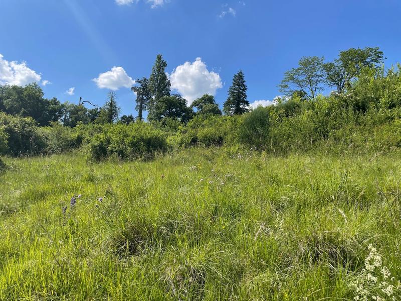 Maison - 300 m² - 12 pièces