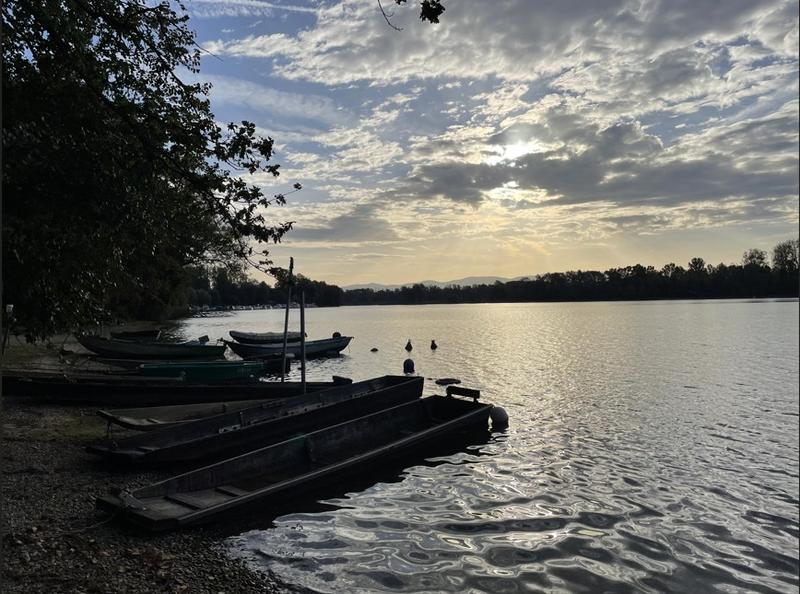 Jeu de piste numérique Tresors du Rhin Offendorf - Freistett