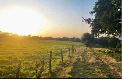 Terrain constructible - 2 070 m²