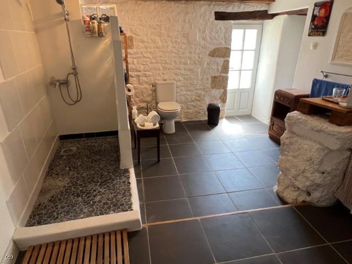 Maison ancienne - 313 m² - 8 pièces