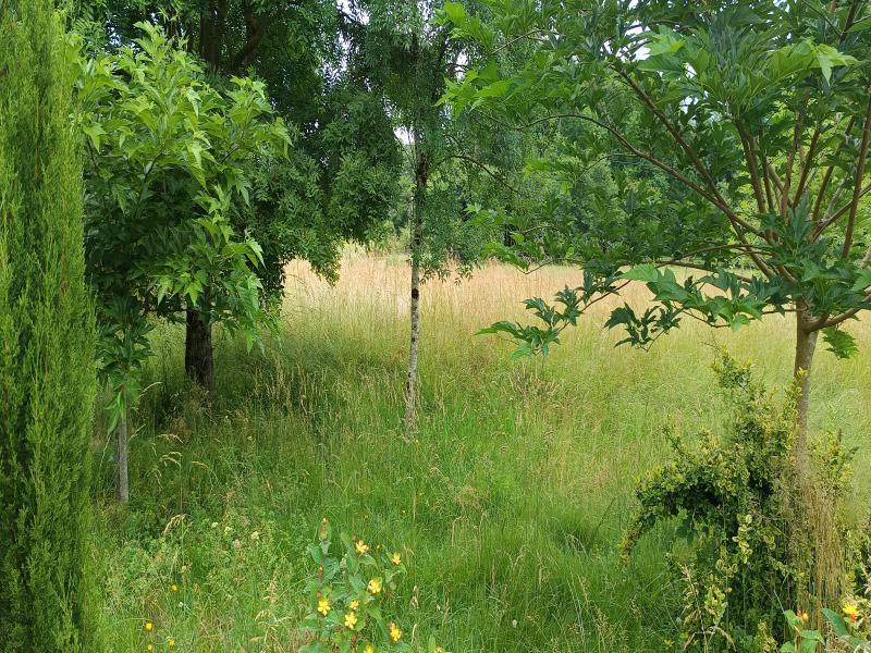 Propriété - 167 m² - 10 pièces