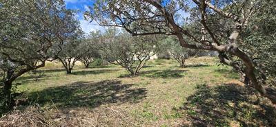 Terrain constructible - 764 m²