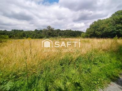 Terrain agricole - 7 097 m²