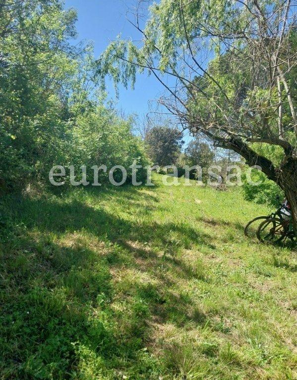 Terrain agricole - 11 480 m²