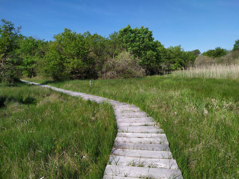 Les Terres de Renard