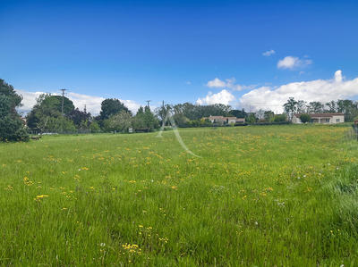 Terrain - 3 550 m²
