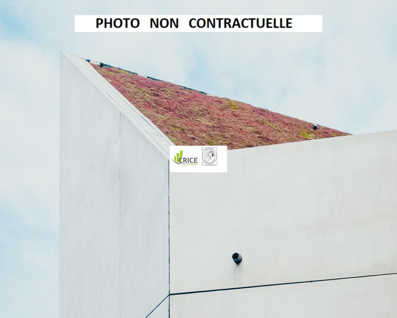 Bureau - 100 m² - 5 pièces