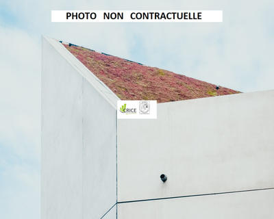 Bureau - 100 m² - 5 pièces