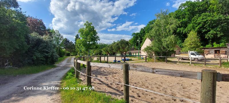 Haras - 300 m² - 4 pièces