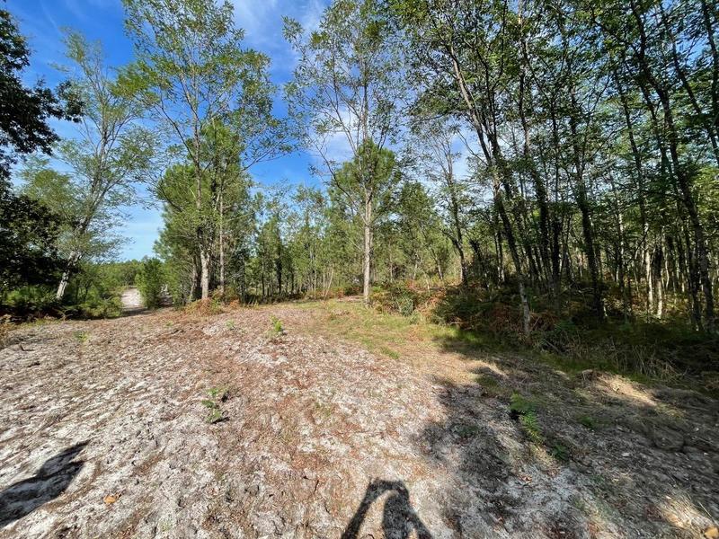 Terrain - 34 718 m²