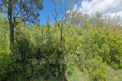 Terrain de loisirs - 10 748 m²