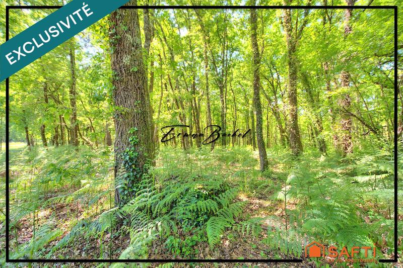 Maison - 40 m² - 3 pièces