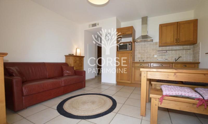 Studio - 24 m² - 1 pièce