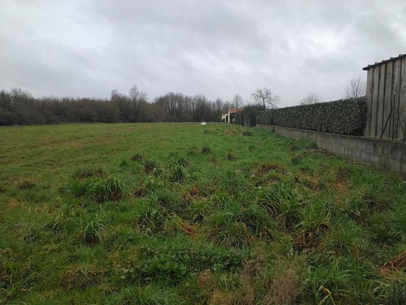 Terrain constructible - 984 m²