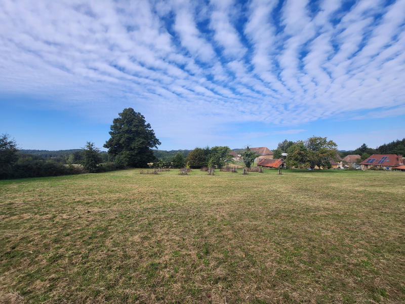 Maison - 126 m² - 5 pièces