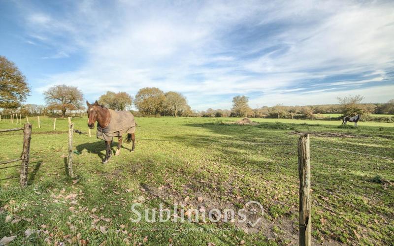 Longère - 128 m² - 5 pièces