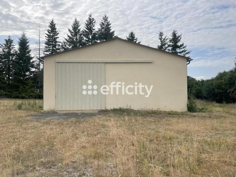 Bureau - 300 m² - 4 pièces