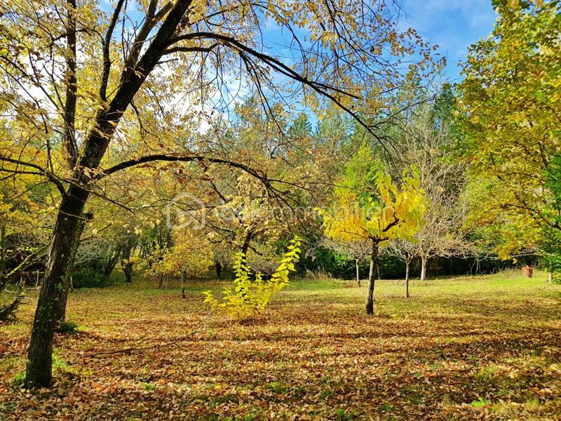 Maison en pierre - 77 m² - 5 pièces