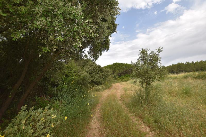 Terrain de loisirs - 28 485 m²