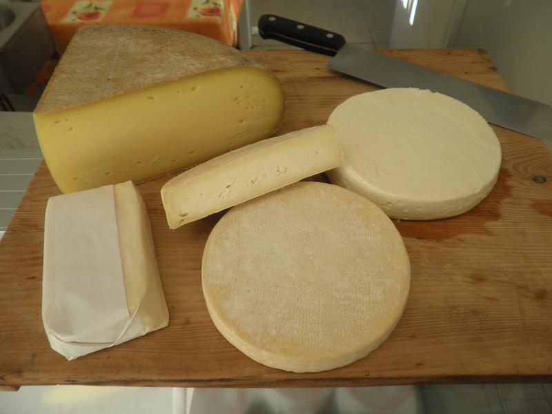 Visite et dégustation à la Ferme Versant du Soleil