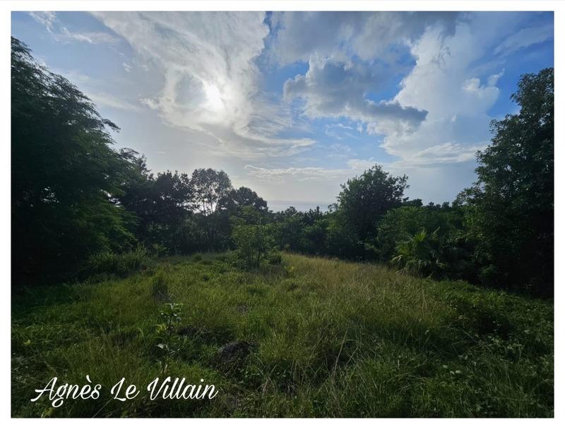 Terrain constructible - 2 983 m²