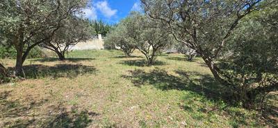 Terrain constructible - 764 m²
