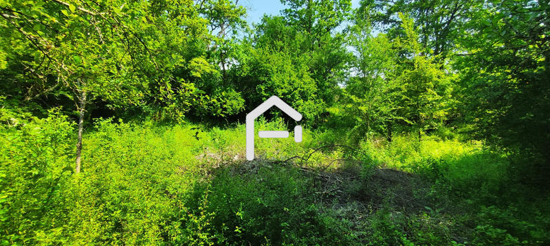 Maison - 240 m² - 9 pièces