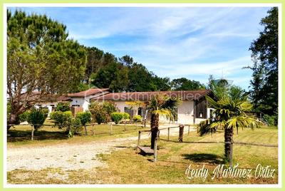 Immeuble - 440 m² - 21 pièces