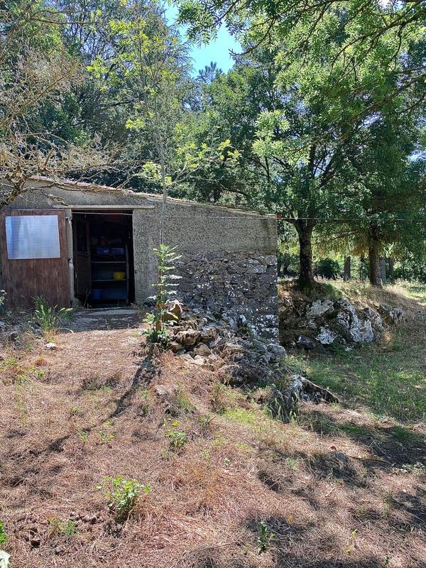 Maison de village - 142 m² - 6 pièces