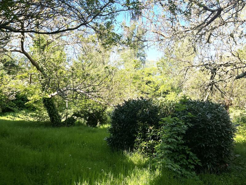 Maison - 500 m² - 10 pièces