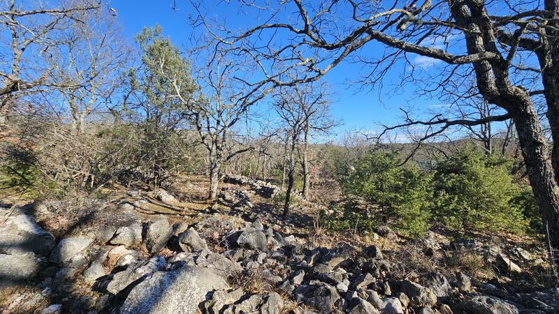 Terrain - 24 790 m²