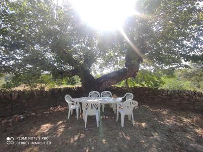 Maison en pierre - 300 m² - 6 pièces