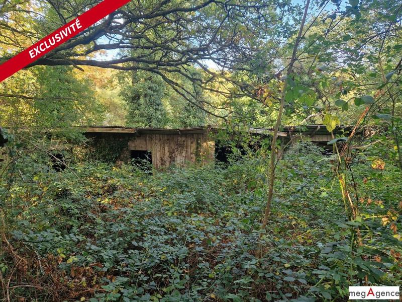 Terrain agricole - 56 990 m²