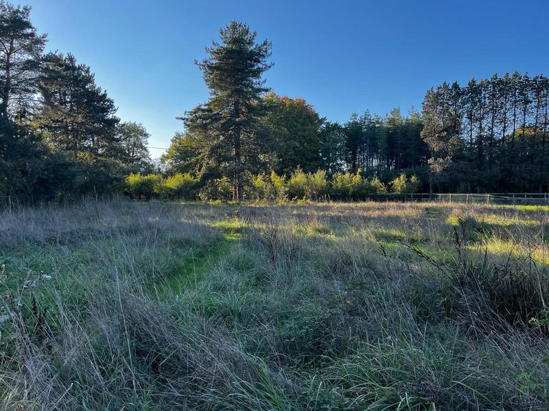 Maison ancienne - 80 m² - 4 pièces