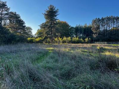 Maison ancienne - 80 m² - 4 pièces