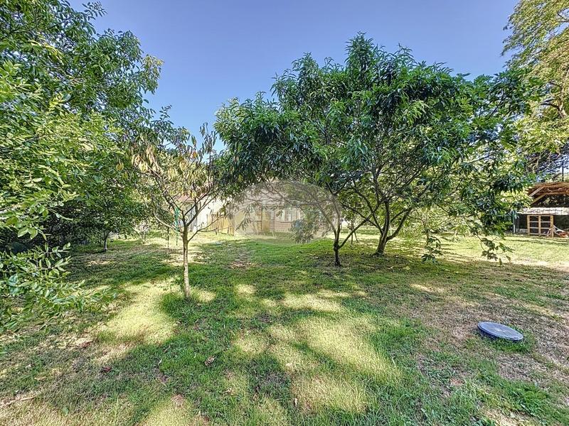 Maison - 350 m² - 12 pièces