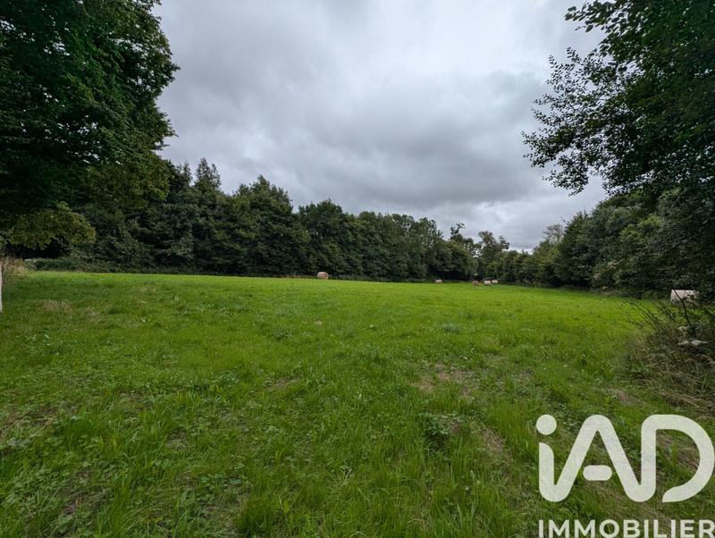 Maison - 115 m² - 4 pièces