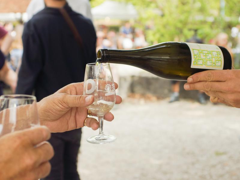 Fête des vendanges des Aoc Cheverny et Cour Cheverny