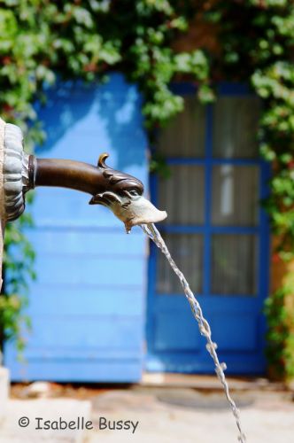 Isabelle Bussy Photographe