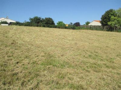 Terrain - 2 000 m²