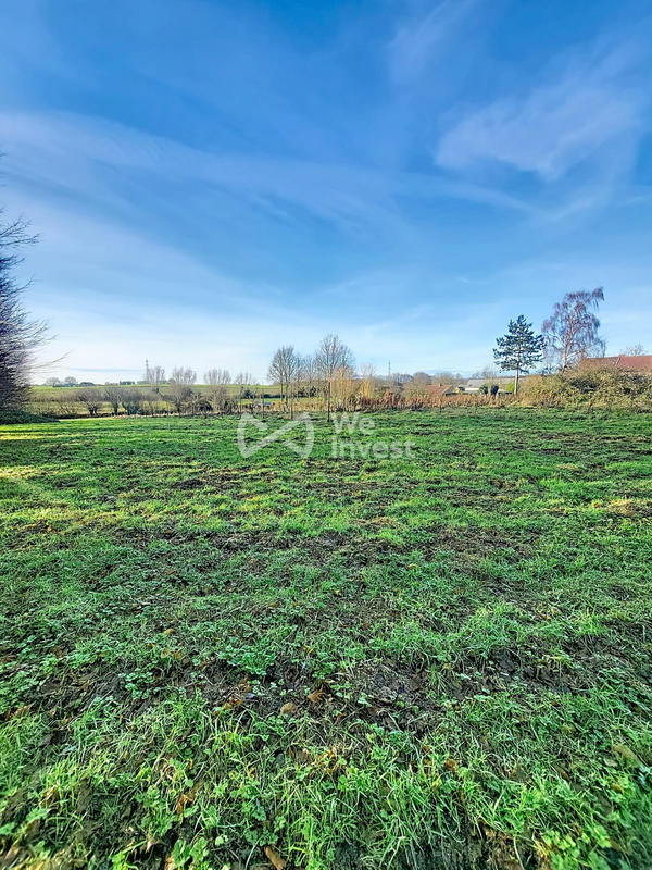 Terrain - 11 965 m²