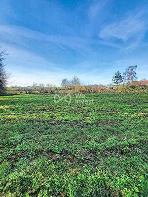 Terrain - 11 965 m²