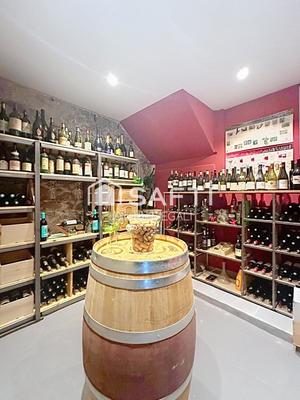 Maison - 251 m² - 8 pièces