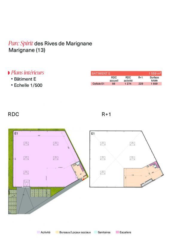 Local d'activité / Entrepôt - 900 m²