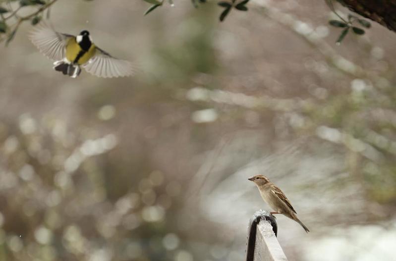 Terrain constructible - 865 m²